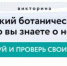 Совсем скоро в Никитском ботсаду начнется «Парад тюльпанов» - Crimea-news.com