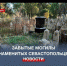 Разбитые надгробия, мусор и бомжи – кто приведёт в порядок старое севастопольское кладбище? - Crimea-news.com