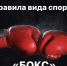 Правила вида спорта «Бокс» - Федерация бокса