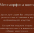 Метаморфозы цвета: тайны красного цвета в живописи из собрания СХМ - Художественный музей