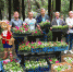 Представители ЛДПР украсили Алушту в честь Дня города - ЛДПР