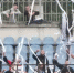 В подгруппе "Б" второй футбольной лиги нет ни повышения, ни понижения в классе - ФК ТСК-Таврия
