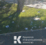 На одной из улиц Симферополя прошел бумажный дождь - Крымское информационное агентство