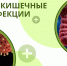 Острые кишечные инфекции и их профилактика в летний период - Онкологический клинический диспансер