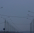 Появились данные относительно пробок возле Крымского моста - Crimea.Sm.News