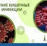 #информация_для_населения. Лето – это не только море, отдых, солнце и пляж, но и время кишечных инфекций. В этот период отмечается резкое повышение уровня инфицированности воды, почвы, продуктов питания возбудителями острых кишечных инфекций - Crimea-news.com