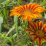 img - 3652.Ru