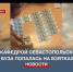 Завкафедрой одного из севастопольских вузов попалась на взятках - Crimea-news.com