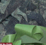 За три месяца работы волонтёры сплели для фронта 180 маскировочных сетей - Crimea-news.com