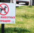 Заводчиков домашних животных обяжут платить налоги и регистрироваться - КрымИнформ
