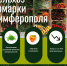 Напомним, в Симферополе еженедельно проходят ярмарки - Crimea-news.com
