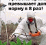 Фермер из Джанкойского района наладил безотходное производство конопли: годное продавал, из корней делал метёлки, а семенами кормил животных, чтобы скотина лучше росла - Crimea-news.com