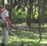 Бригады МБУ «Город» и привлеченные подрядные организации ежедневно ведут покос травы во всех районах города - Crimea-news.com