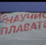 В Севастополе подвели итоги ежегодной акции «Научись плавать» - Crimea-news.com