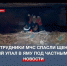 Сотрудники МЧС спасли щенка, который упал в яму под частным домом - Crimea-news.com