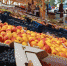 На ярмарках в Симферополе продали 40 тонн сельхозпродукции - Crimea-news.com