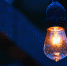 img - 3652.Ru