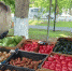 На ярмарках в Симферополе продали 40 тонн продукции - Crimea-news.com