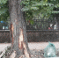 img - 3652.Ru
