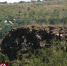 Экскурсия к Петропавловскому палеовулкану прошла в Симферополе - Crimea-news.com