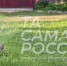 ТА САМАЯ РОССИЯ. Объявлен набор волонтёрского корпуса на медиафорум Волонтёров Победы «Та самая Россия»! Ты познакомишься с... - Crimea-news.com