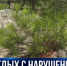 Сотрудники лесничества проверяют соблюдение мер безопасности во время особого противопожарного режима - Crimea-news.com
