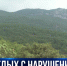 Севастопольские лесники ищут нарушителей особого противопожарного режима - Crimea-news.com