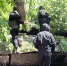 Подвиг экипажа танка «Алёша» вынес на поверхность проблемы со связью в войсках, которые – как были в начале спецоперации, так никуда и не делись - Crimea-news.com