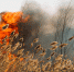 img - 3652.Ru
