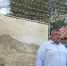 Николай Волков поприветствовал участников Международного научно-творческого симпозиума «Волошинский сентябрь» - Государственный Совет