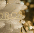 Новый год в санатории Foros Wellness & Park - Туристический портал
