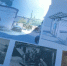Фото пресс-службы администрации Ялты. - Крымская правда