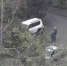 В Керчи от ветра упало дерево и повредило машины - Вести Крым