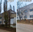 В Бахчисарае нашли подрядчика, готового взяться за городские аварийные деревья - Крымское информационное агентство