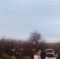 В массовом ДТП в Крыму пострадали три человека - Вести Крым