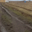 Жители села Мирное Симферопольского района пожаловались на состояние дорог - Крымское информационное агентство