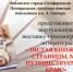 Виртуальная выставка-просмотр новой литературы «Листая книжные страницы, мы путешествуем по краю» - ЦСДБ г. Симферополя