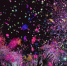 Две женщины устроили в ресторане Севастополя драку на почве ревности - Вести Крым
