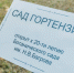 В Ботаническом саду КФУ открылся Сад гортензий - Крымское информационное агентство