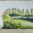 Символ Зелёного фестиваля – гусь-озеленюсь - Туристический портал