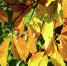 Осень в Крыму - Туристический портал