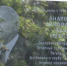 Мемориал Анатолию Заяеву - ФК ТСК-Таврия