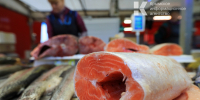 Искусственный интеллект берёт на контроль оборот продуктов в Крыму - Крымское информационное агентство