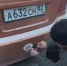 Крымская Госавтоинспекция усилила проверки автомобилей с наклейками UA - Крымское информационное агентство