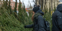 Елочные базары и ярмарки заработают в Ялте с 14 декабря - Комсомольская правда