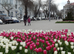 На благоустройство муниципалитетов Крыма направят около 4 млрд рублей