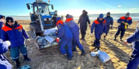 Новый выброс мазута из затонувшего танкера фиксируют в Чёрном море - Вести Крым