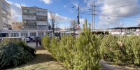 Фото пресс-службы администрации Симферополя. - Крымская правда