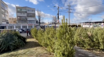 Фото пресс-службы администрации Симферополя.