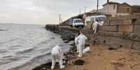 Крым готовится к возможному движению пятен мазута в район Керчи и Ленинского района - Крымское информационное агентство